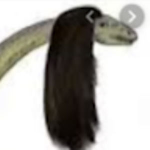 Meet your Posher, Morgan